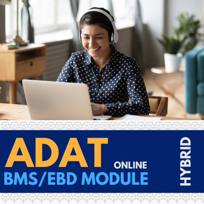 ADAT BMS/EBD Module - Hybrid 2025