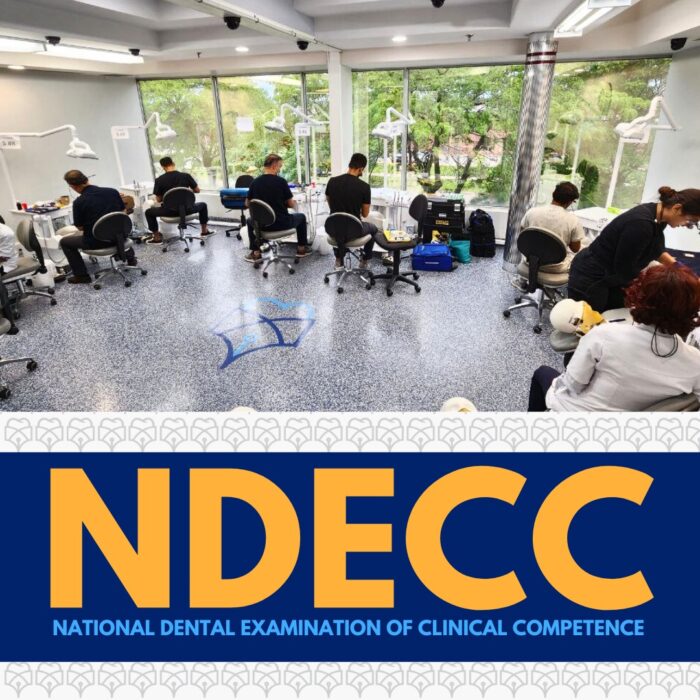 NDECC 6 Months Bundle
